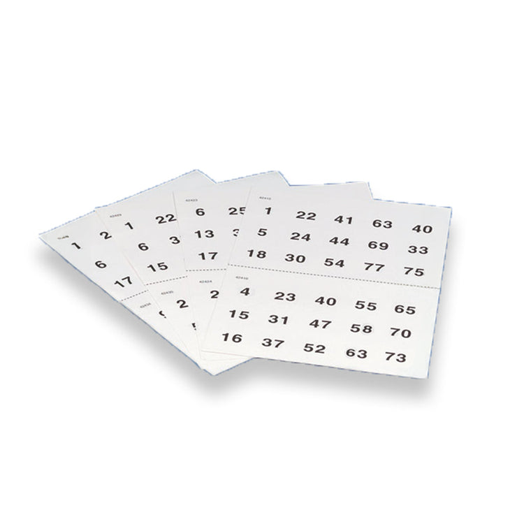 Large print Bingo sheets