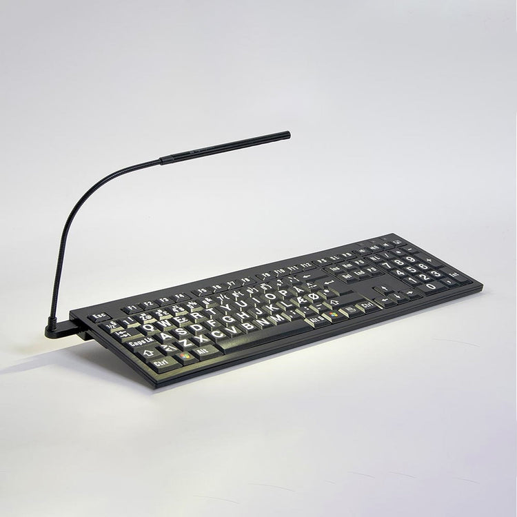 Large print keyboard with detachable light
