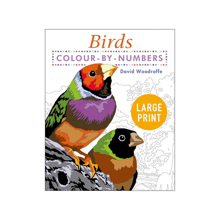 Large Print colour by numbers Birds
