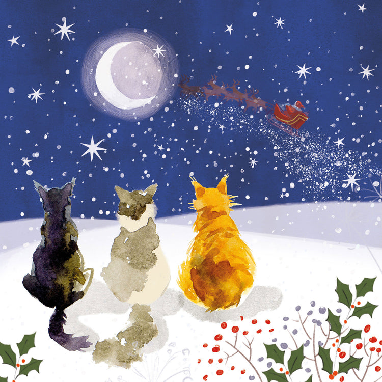 Cats waiting for Santa charity Christmas card (pack of 10)