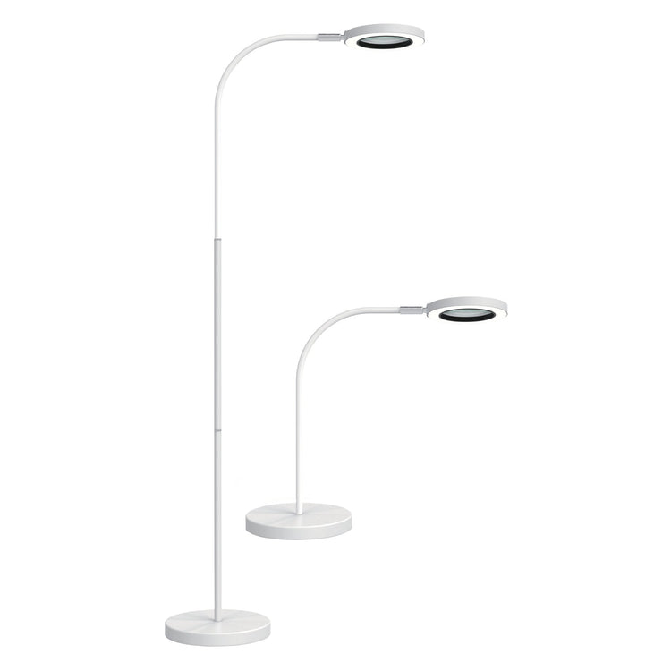 Chameleon multi task magnifier light