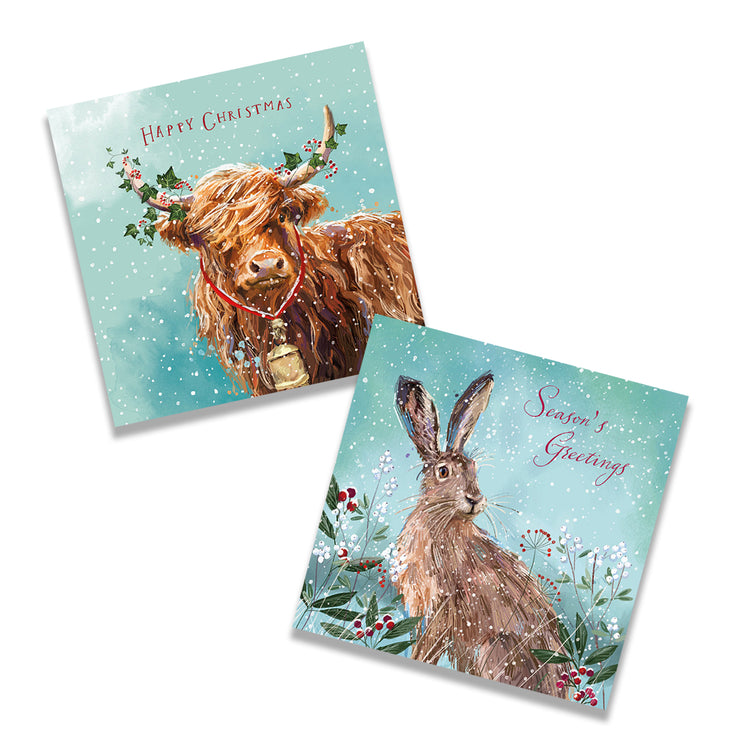 Animal charity Christmas cards (mixed pack of 10)